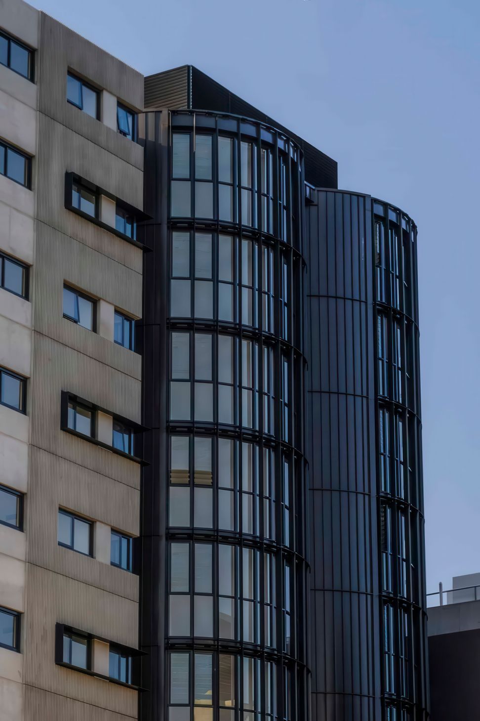 archipro-Summer-Hill-Building-NO1APS-Nailstrip.jpg