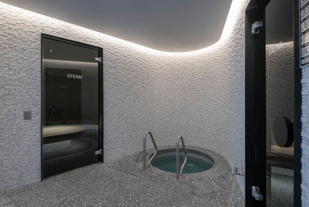 A compact, luxurious spa area clad in small grey mosaic tiles, featuring a circular plunge pool with stainless-steel ladder rails, a glass door labelled “STEAM” leading to a steam room, dark framed glazing, and curved recessed cove lighting along the ceiling.