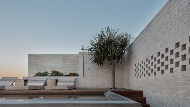 A minimalist rooftop terrace or poolside courtyard enclosed by pale rendered masonry walls. Built-in timber-toned bench seating and loungers line the terrace, with a shallow reflective pool or water feature in the foreground. A sculptural palm-like plant rises against a perforated breeze-block wall, creating a calm, contemporary outdoor setting.