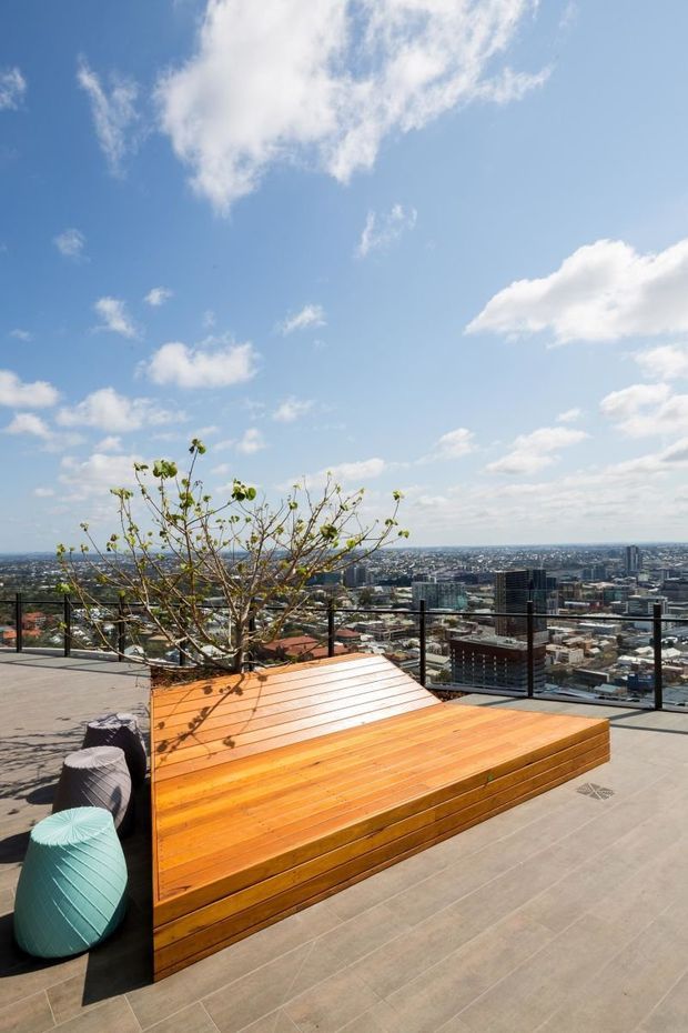 A sunny rooftop terrace with expansive city views, featuring a large built-in timber planter and bench, glass balustrade, paved flooring, and soft outdoor seating. A small tree grows from the integrated planter, with blue sky and distant urban buildings beyond.