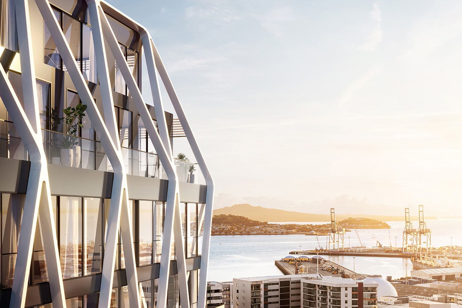 The International Auckland