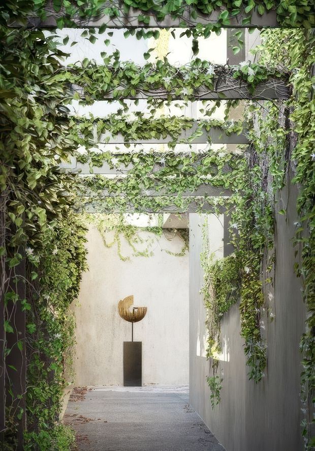 A narrow, serene garden passage or courtyard walkway enclosed by dense climbing greenery. Horizontal overhead trellis beams and vertical garden walls create a leafy tunnel leading to a pale rendered wall with a sculptural metal artwork. The space has a restrained, contemporary garden design with filtered natural light and a calm, immersive atmosphere.