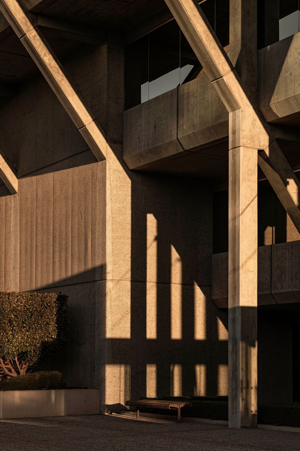 Brutalist