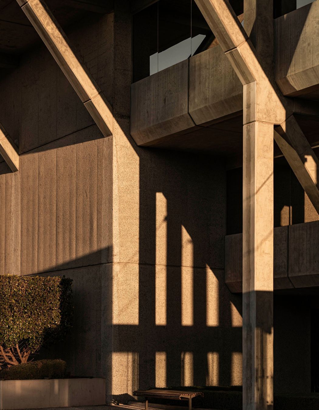 Brutalist