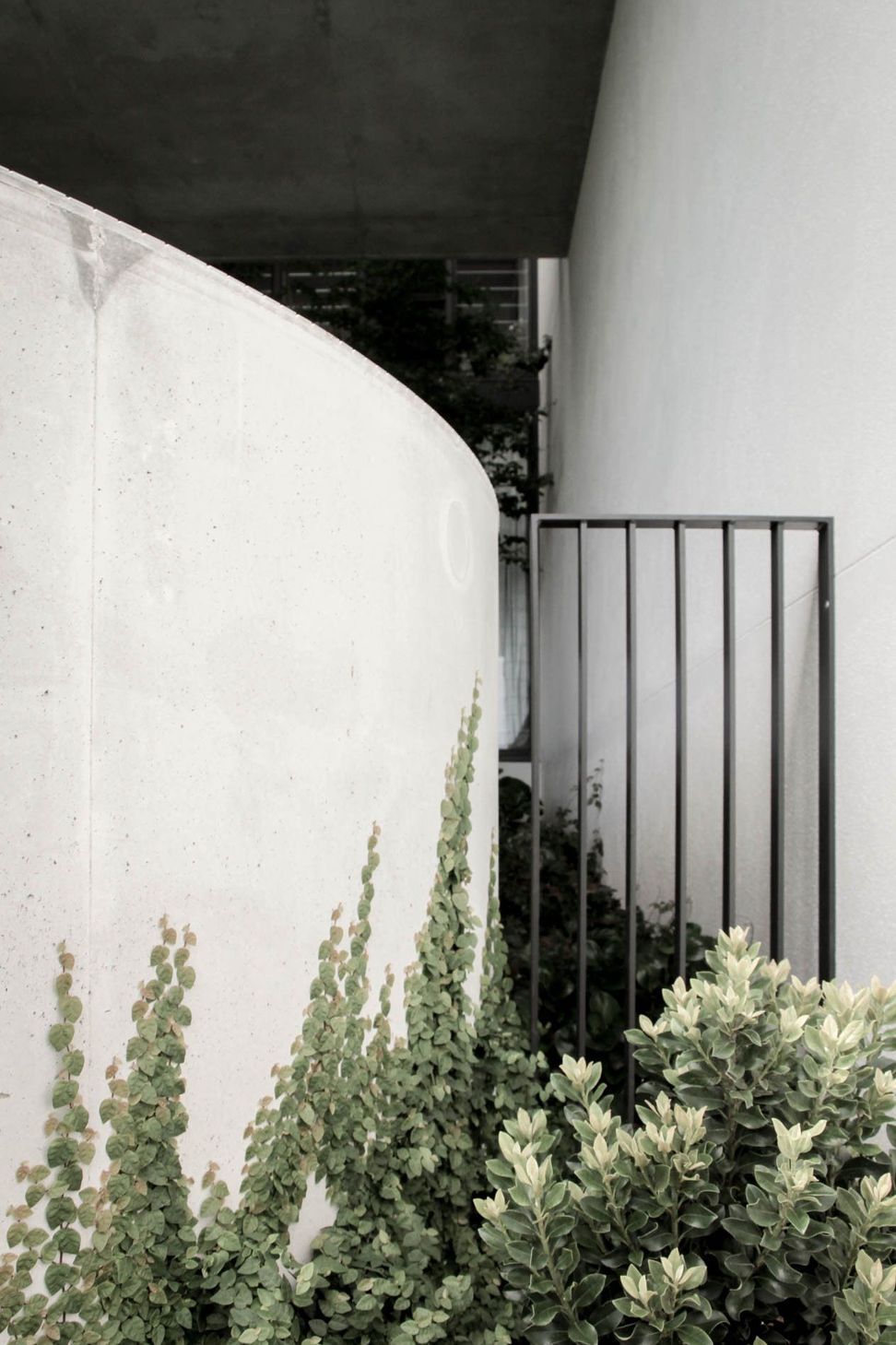 The Dual House - Exterior. Curved concrete wall beside a slatted black gate.