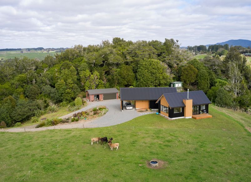 Te Ngahere a Kataraina - Kathy's forest house