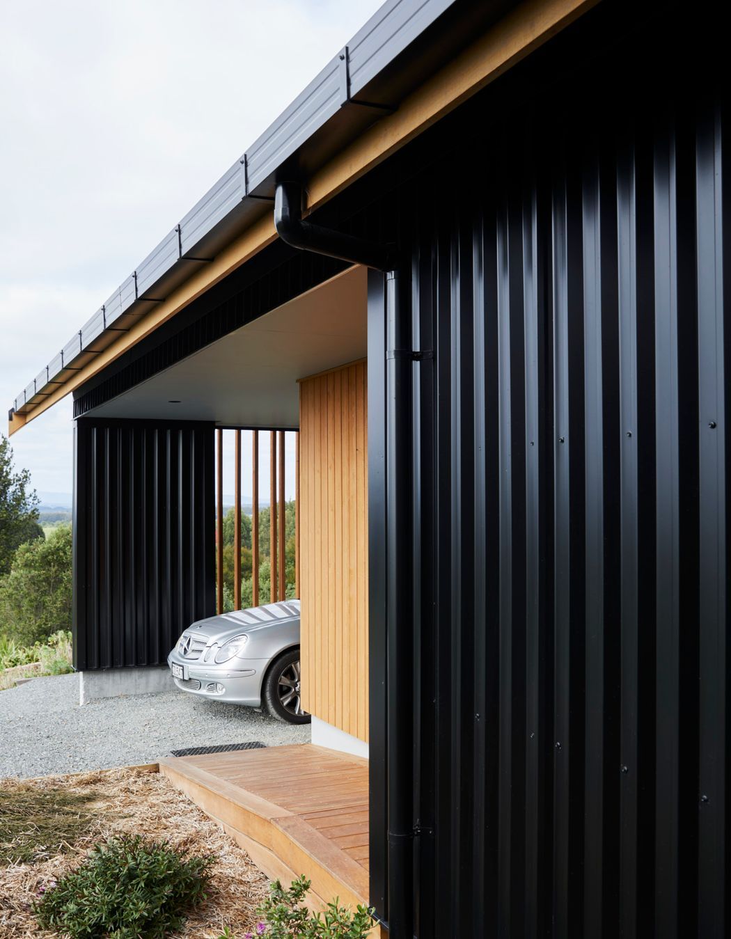 Te Ngahere a Kataraina - Kathy's forest house