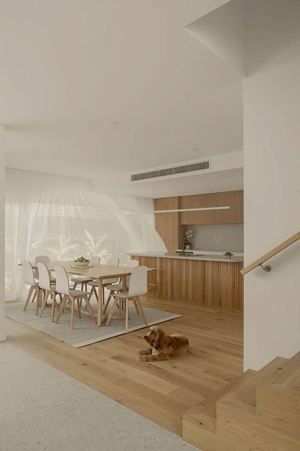 Warm, light-filled open-plan dining and kitchen interior viewed from a stair landing. The room features a long timber dining table with white upholstered chairs, pale sheer curtains, light timber flooring, and a streamlined timber kitchen with integrated cabinetry, stone-look benchtops, and a textured backsplash. A timber staircase with a simple handrail occupies the foreground, and a dog rests on the floor.