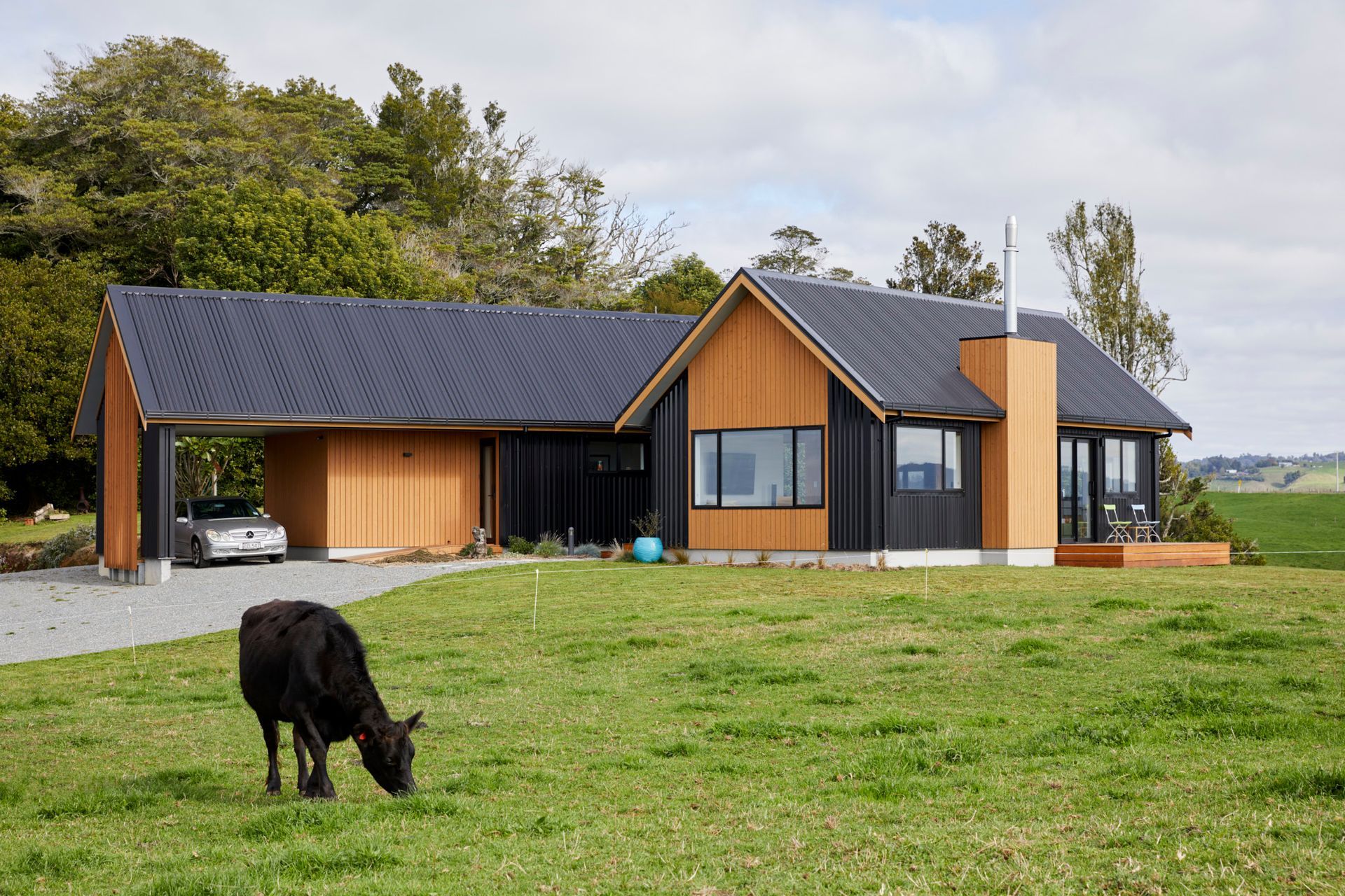 Te Ngahere a Kataraina - Kathy's forest house