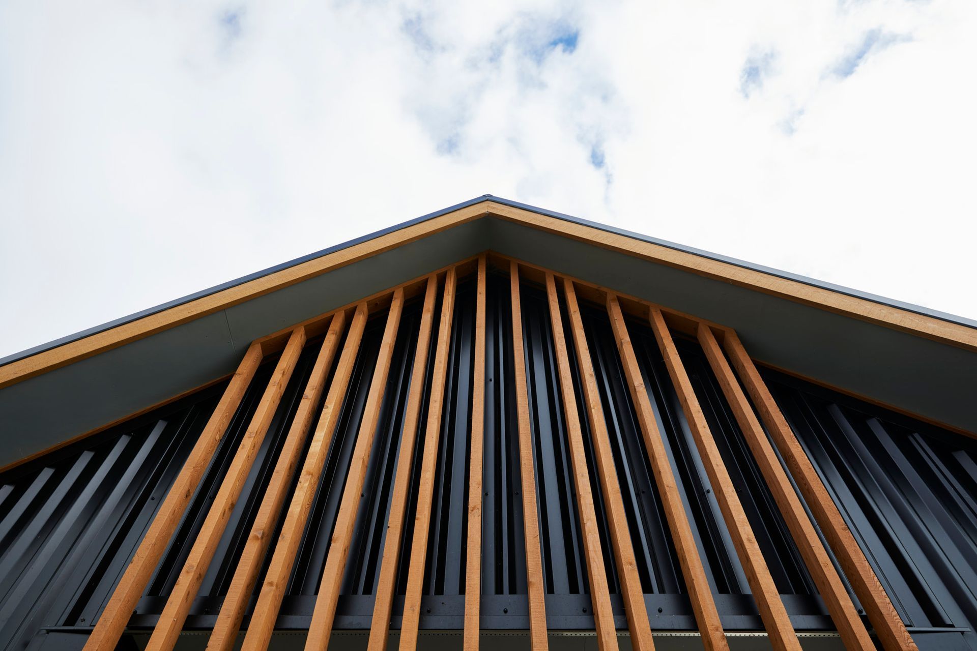 Te Ngahere a Kataraina - Kathy's forest house