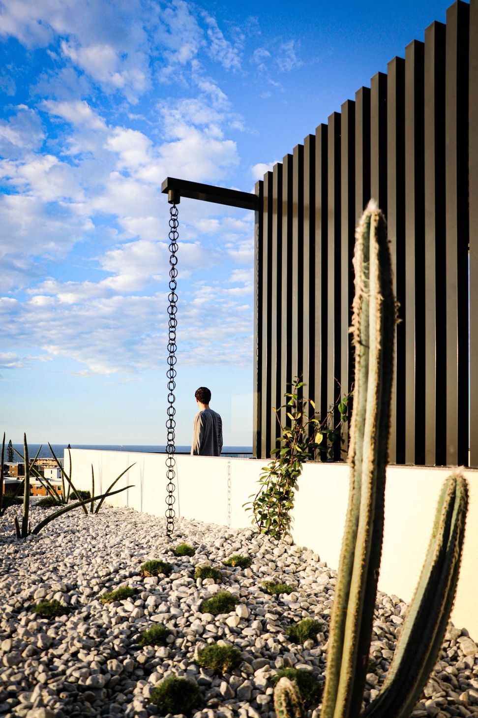 Anderson Residence - Balcony. Terrace with a cactus and views to the ocean.