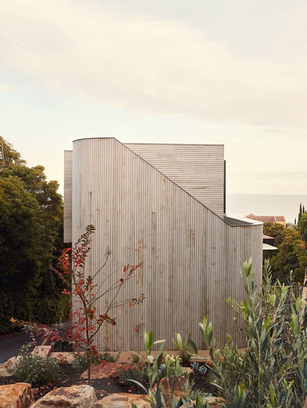 A contemporary residential building viewed from a landscaped garden. The compact facade is clad in pale vertical timber boards, with a distinctive angular sloping roof or upper wall form intersecting a horizontal timber-clad volume. Dense planting, olive-like foliage, and mature trees frame the building, while neighbouring rooflines are faintly visible in the background.