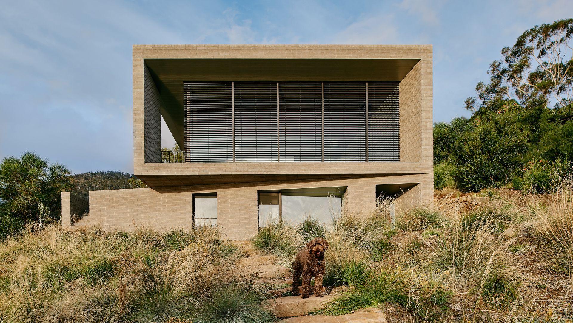 House at Otago Bay banner