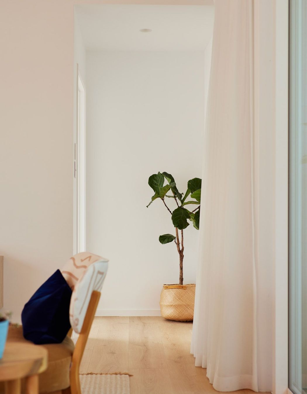 Toronia Court, Papamoa