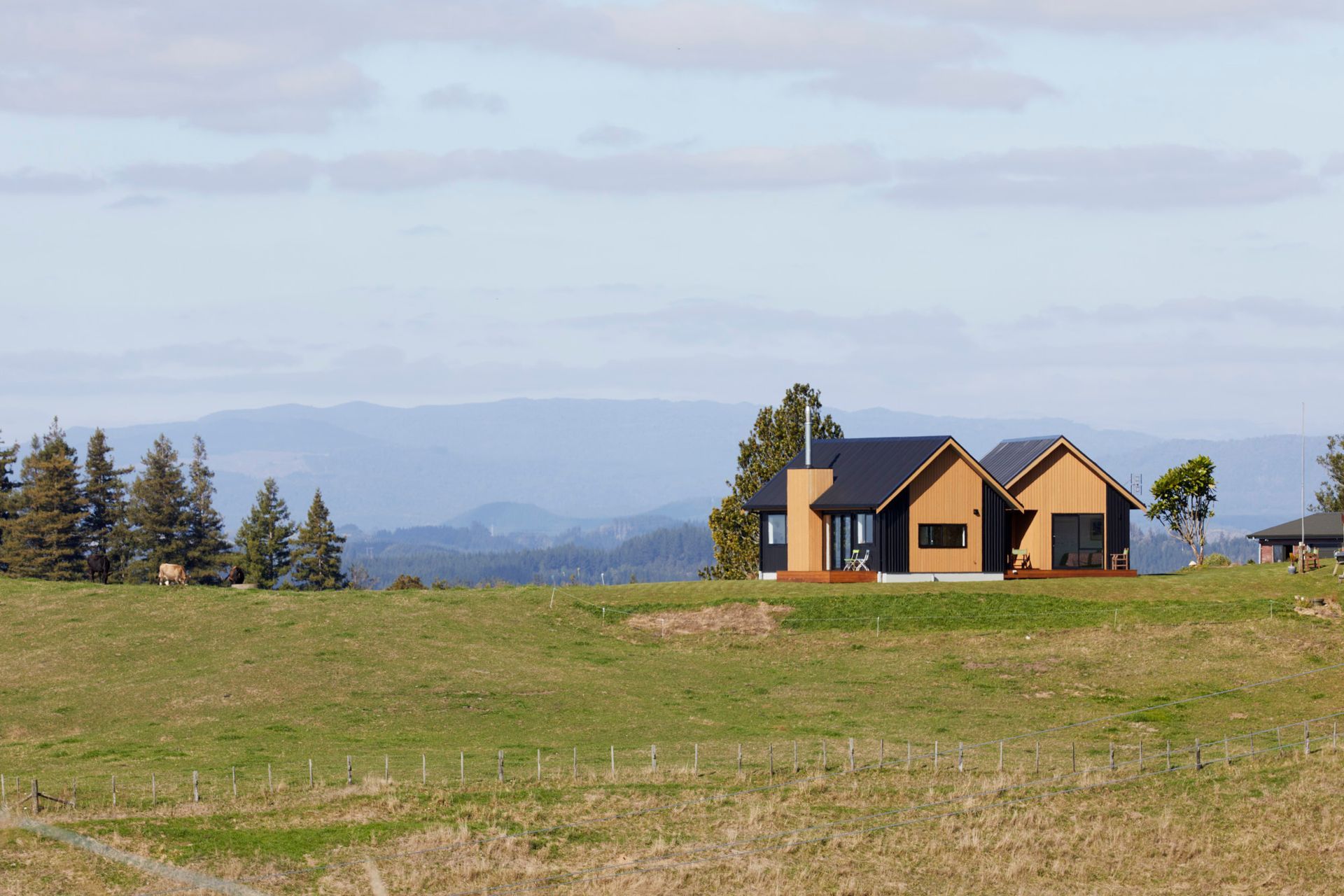 Te Ngahere a Kataraina - Kathy's forest house