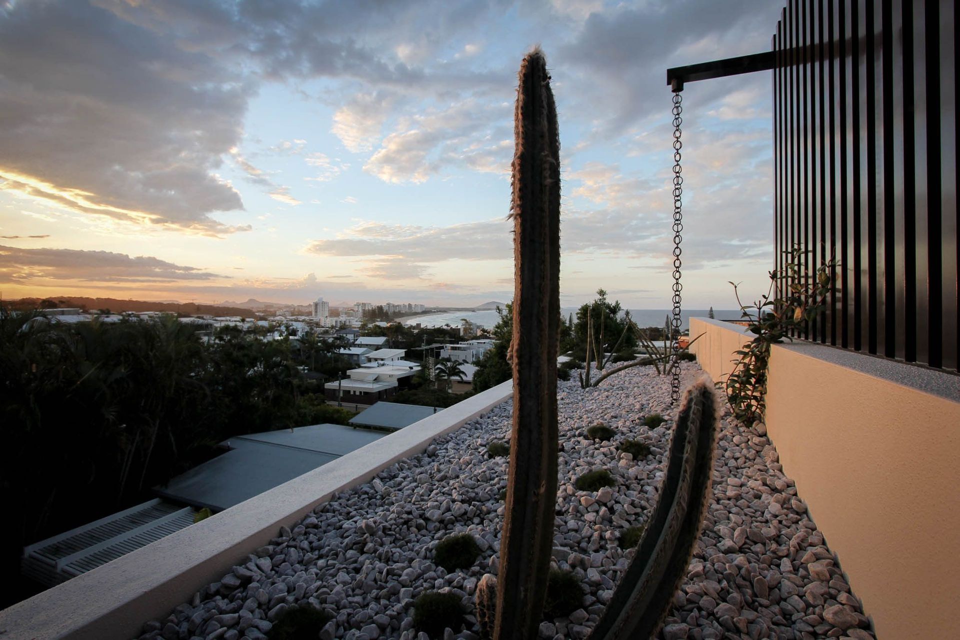 Anderson Residence - Garden. Rooftop garden with cactus and coastal views.