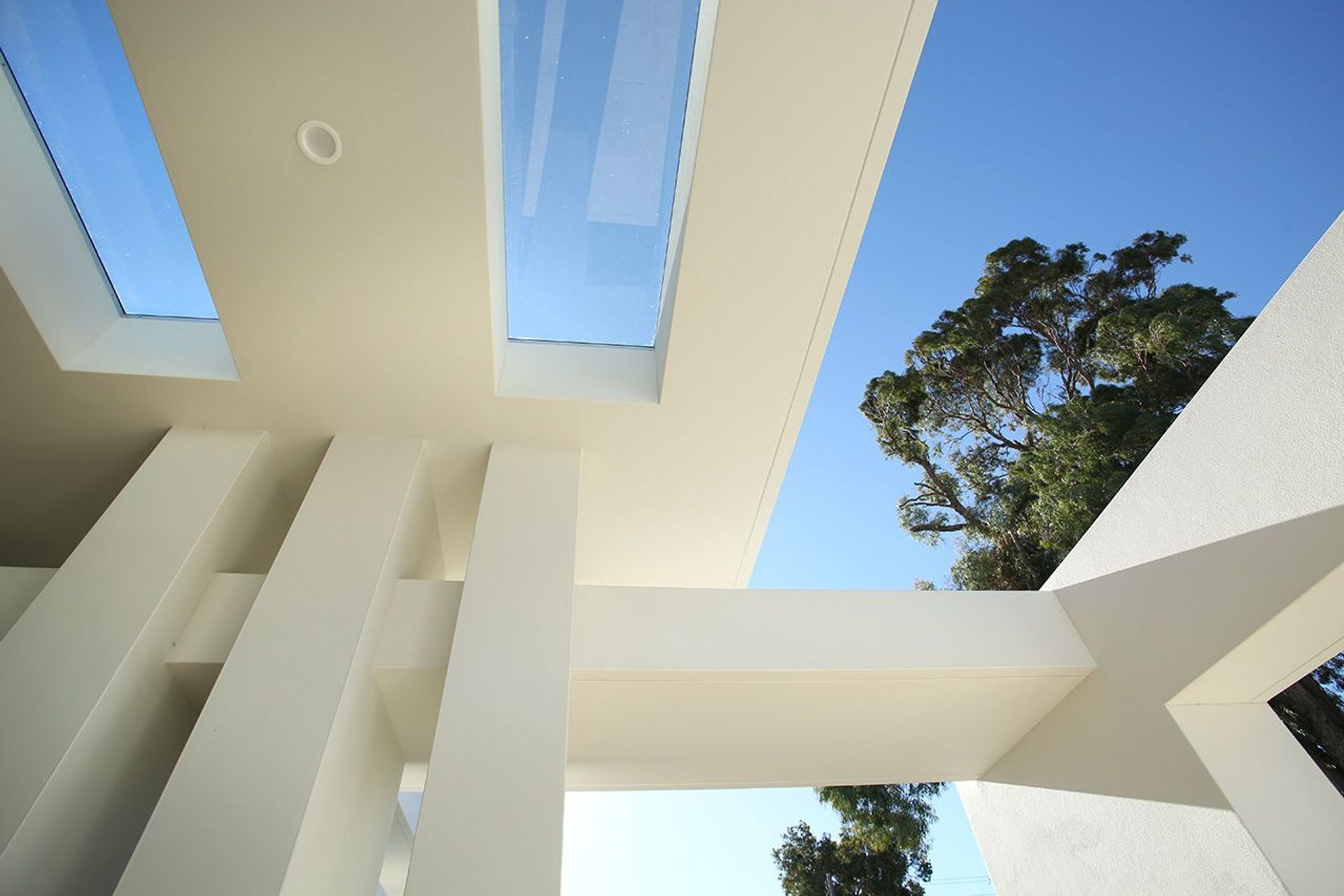 Photography: Luc Redmond