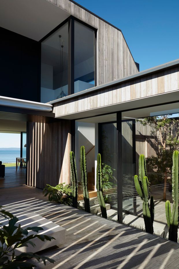 A contemporary multi-level coastal residence viewed from an internal courtyard or terrace. The home features extensive black-framed glazing, vertical weathered timber cladding, cantilevered upper volumes, and a timber deck with tall sculptural cacti and other planting. An open room is visible to the left, with a blue sea or large body of water seen beyond the property. Strong sunlight creates pronounced linear shadows across the deck.
