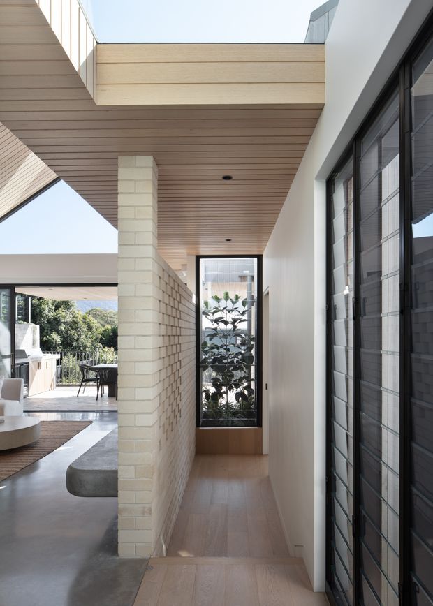 A refined contemporary residential hallway with warm timber ceiling lining and timber flooring, pale exposed brickwork, white plaster walls, and dark-framed glazed doors. The corridor leads to a full-height window with indoor planting, while an open-plan living area and outdoor terrace are visible to the left. Strong natural light, clean geometric lines, and integrated architectural detailing create a calm, modern atmosphere.