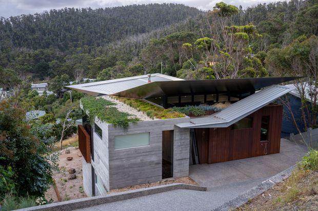Exterior view of a contemporary hillside home set within dense native woodland. The compact dwelling has angular low-pitched metal roofs with broad overhangs, grey horizontal cladding, dark timber doors and screening, extensive planted rooftop areas, and large dark-framed glazed openings. A sloping driveway and landscaped rocky site surround the house.