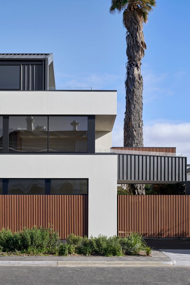 Street-facing view of a contemporary multi-level residence with crisp white rendered walls, dark metal-framed glazing, a corrugated metal upper roof, and projecting box-like forms. Vertical timber-toned slat fencing and a dark metal balcony or carport enclosure define the frontage, with landscaped planting along the footpath and a tall palm tree beside the building.
