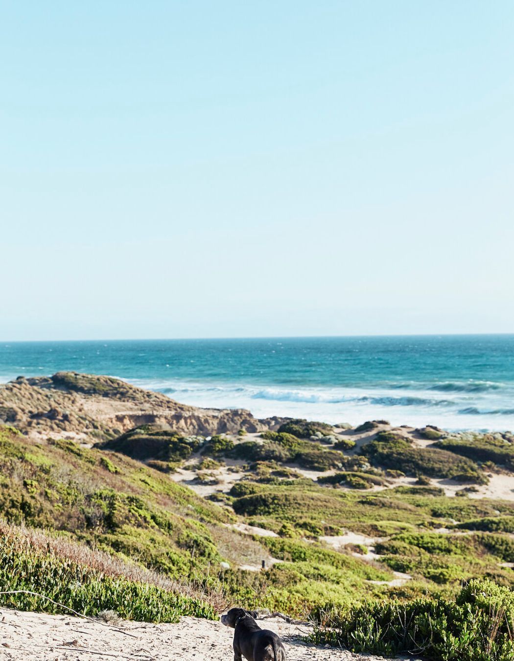 Blairgowrie Ocean Beach House