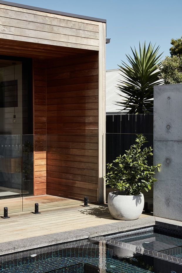 A contemporary residential exterior courtyard showing a compact tiled swimming pool beside a timber-clad entry or outdoor living structure. The facade combines warm horizontal timber lining, pale weathered timber boards, clear glass, dark metal fencing, and a smooth concrete privacy wall. A potted shrub and spiky architectural planting add greenery around the pool, with strong sunlight and a clear blue sky creating a crisp, resort-like atmosphere.