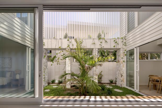View from inside a bright contemporary home through wide sliding glass doors into a compact internal courtyard. The courtyard features a central palm, planted garden beds, climbing greenery, stepping stones, pale tiled walls, and a tall slatted privacy screen. White horizontal cladding surrounds the opening, with glimpses of furnished interior spaces on both sides.