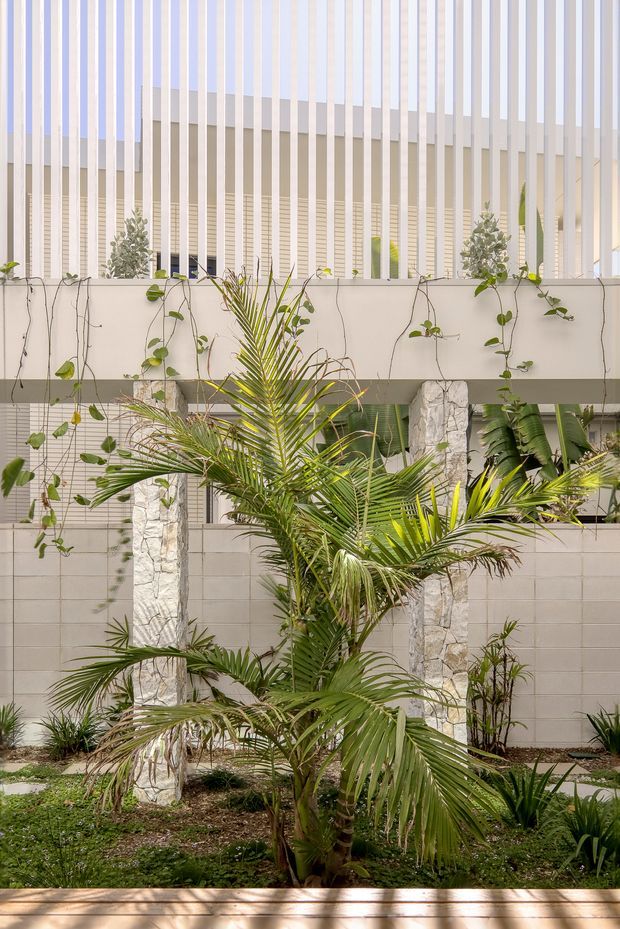 A landscaped courtyard garden beneath a contemporary multi-level structure. Tropical palms and climbing plants fill the foreground, with pale rendered walls, horizontal blockwork, stone-clad columns, and a prominent vertical screen or balustrade above. The scene is bright, warm, and natural, with strong linear architectural detailing.