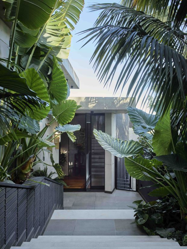 A modern residential entry courtyard framed by dense tropical foliage, with broad-leaf plants and palms surrounding a stepped grey tiled path. The entrance features dark timber or metal-framed glazed doors, pale rendered walls, a textured concrete canopy, and a dark slatted boundary wall. The scene feels secluded, lush, and contemporary.
