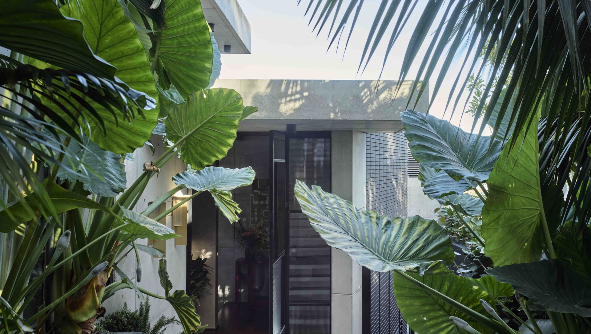 Kyle Bay House banner