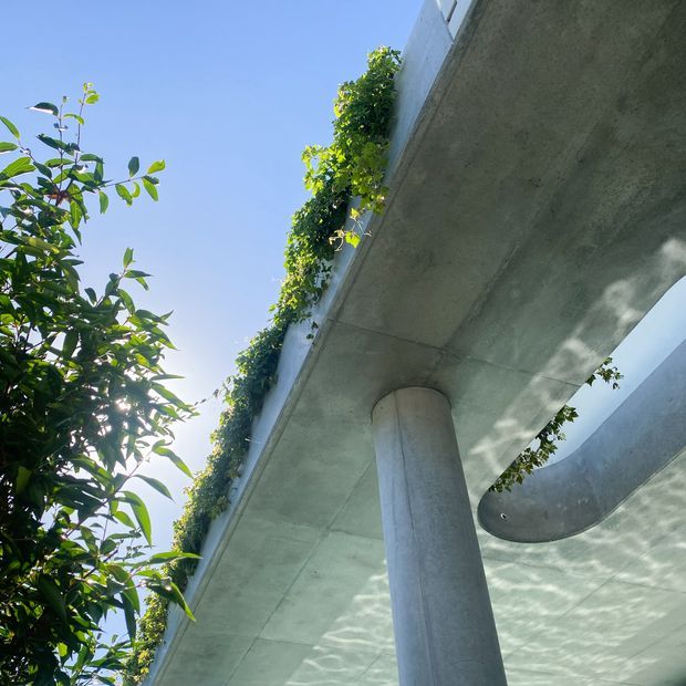 Upward-looking architectural detail showing a substantial exposed concrete slab or overhang supported by a round concrete column. Dense climbing greenery trails along the slab edge, while sunlight and foliage create dappled shadows across the smooth concrete surfaces. The image emphasizes modern structural form and the integration of planting with the building.