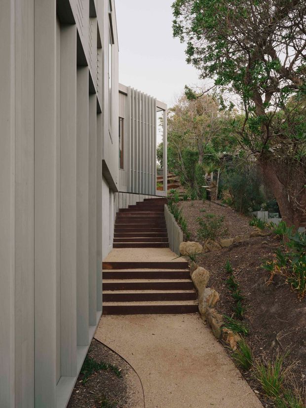 A narrow landscaped exterior walkway runs alongside a contemporary multi-level building. The path is formed by pale textured paving and several sets of dark timber steps, bordered by natural stone edging and planted garden beds. The building has muted grey vertical cladding, recessed openings, and a projecting screen of closely spaced vertical fins. Mature trees and dense planting frame the route.