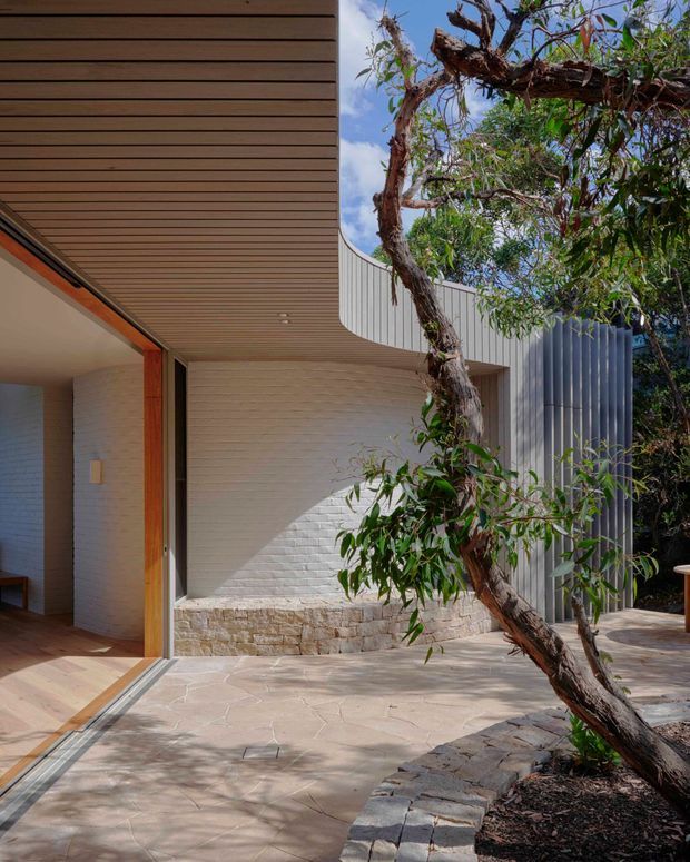 A refined modern residential exterior courtyard viewed from a covered entry or indoor threshold. The building features warm timber soffit lining, pale brick walls, curved white metal cladding, vertical ribbed screening, large timber-framed glazing, and a paved stone terrace wrapping around an established tree and planted garden bed.