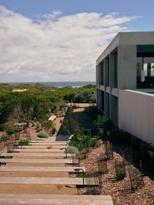 Exterior view of a modern coastal residence on a landscaped, sloping site. The building has a rectilinear form, grey masonry block walls, dark recessed glazing, and a pale vertical-panelled facade section. A long stepped walkway descends through native planting and mulch toward a garden, with the ocean visibly beyond the vegetation.
