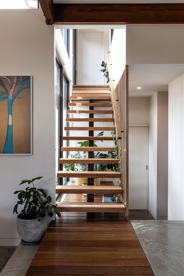 A bright contemporary interior focused on an open-riser timber staircase. Warm dark-to-mid timber treads and overhead beam contrast with white walls, a slim timber balustrade, indoor plants, and polished grey concrete flooring. The stair rises beside tall glazing toward an upper landing, with a hallway and closed white door visible to the right.