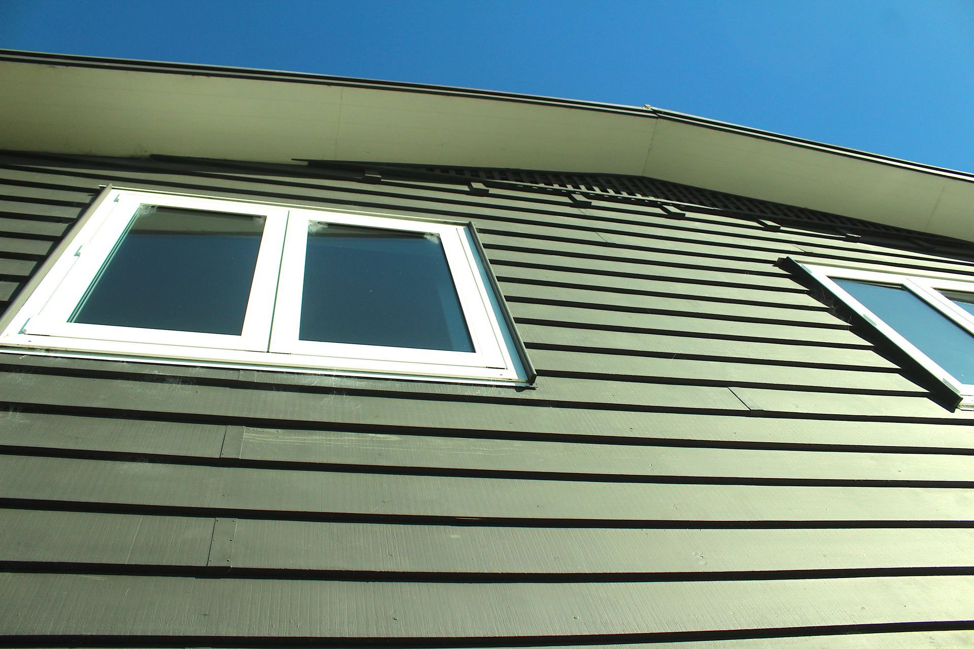Pohutukawa, Omiha, Waiheke Island