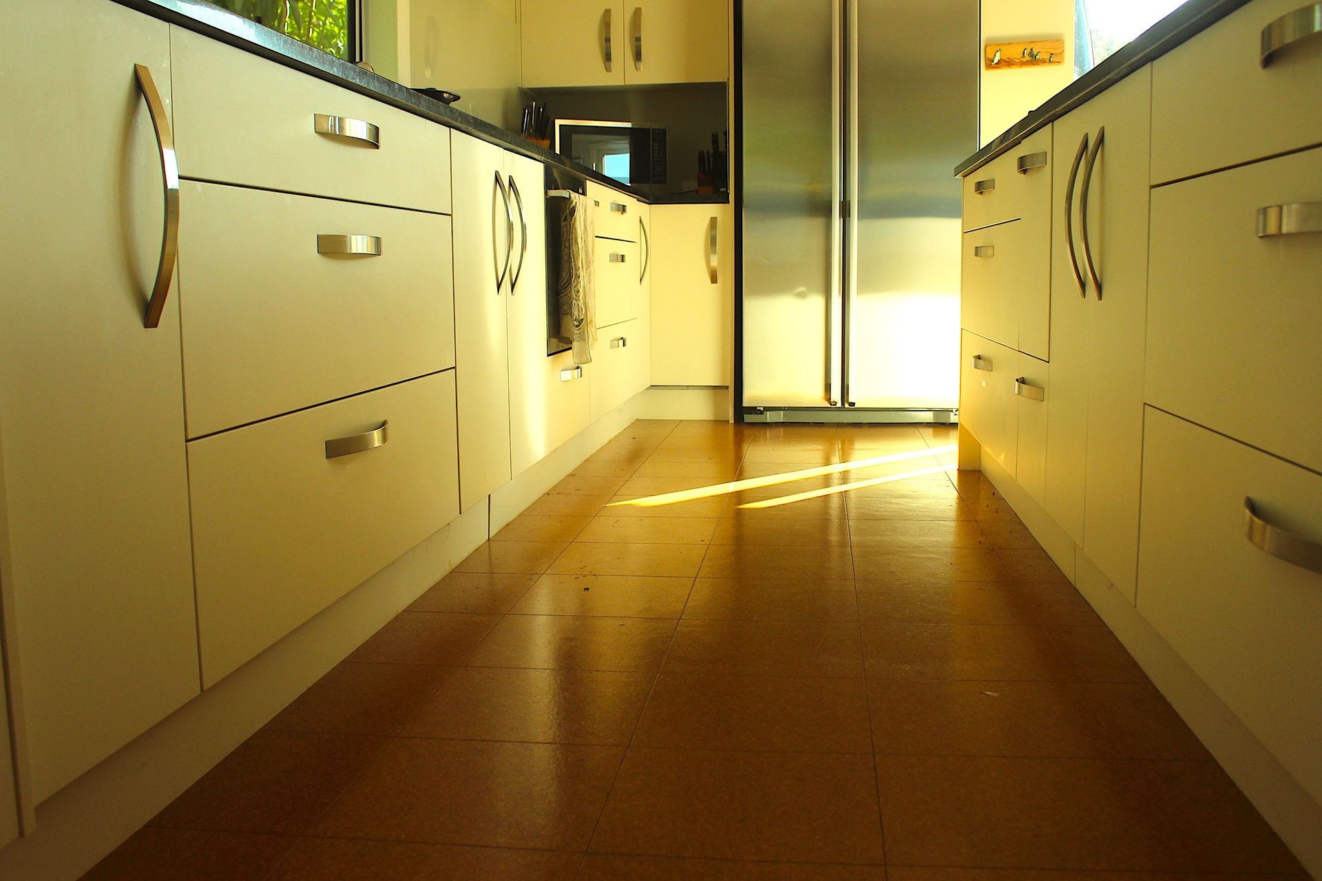 Pohutukawa, Omiha, Waiheke Island