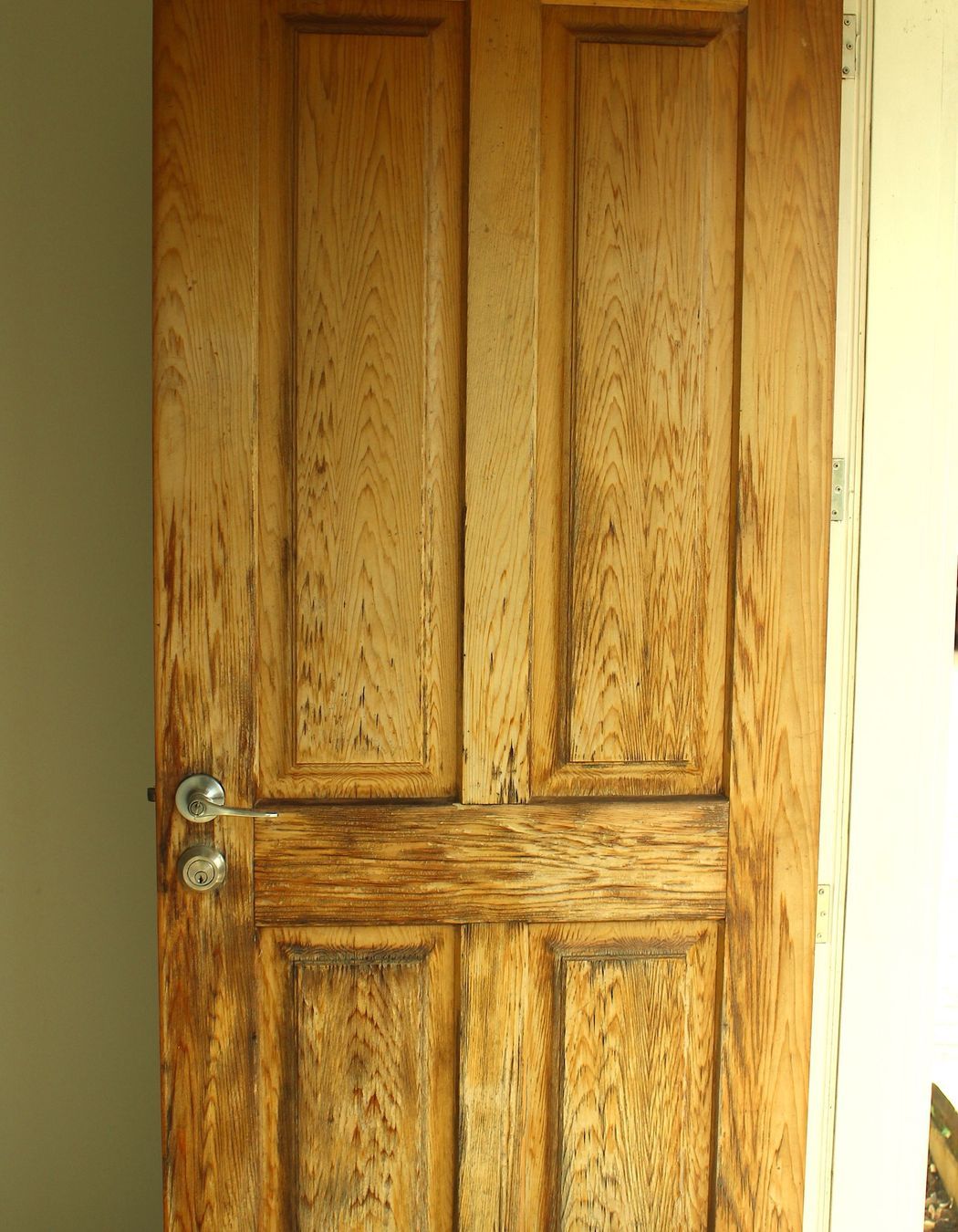 Pohutukawa, Omiha, Waiheke Island