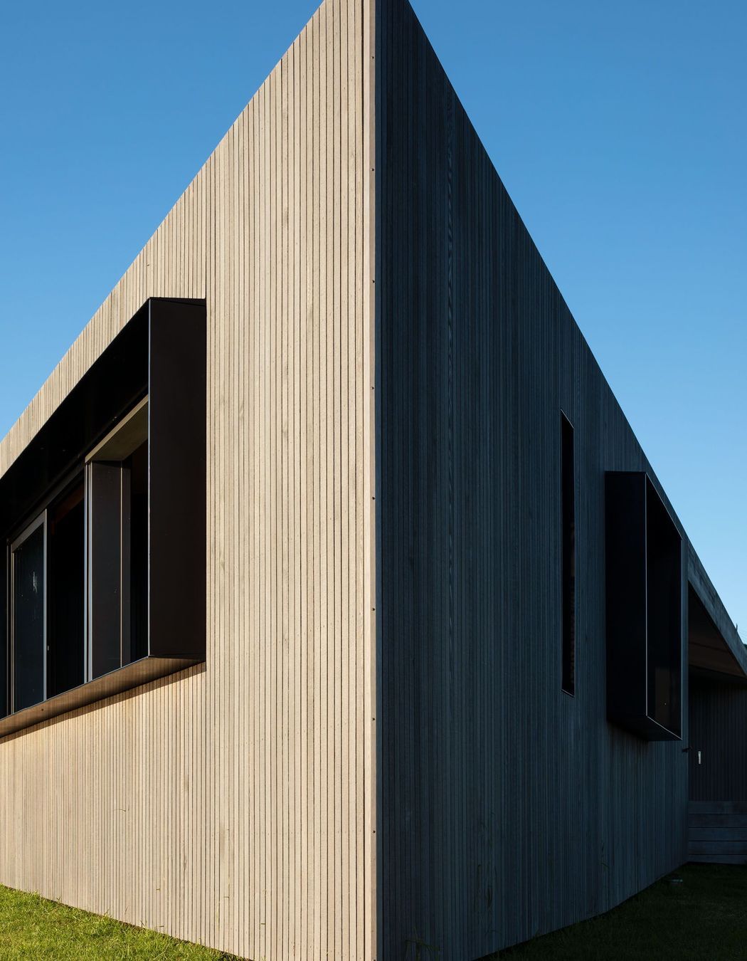 Project Timber: The Dart