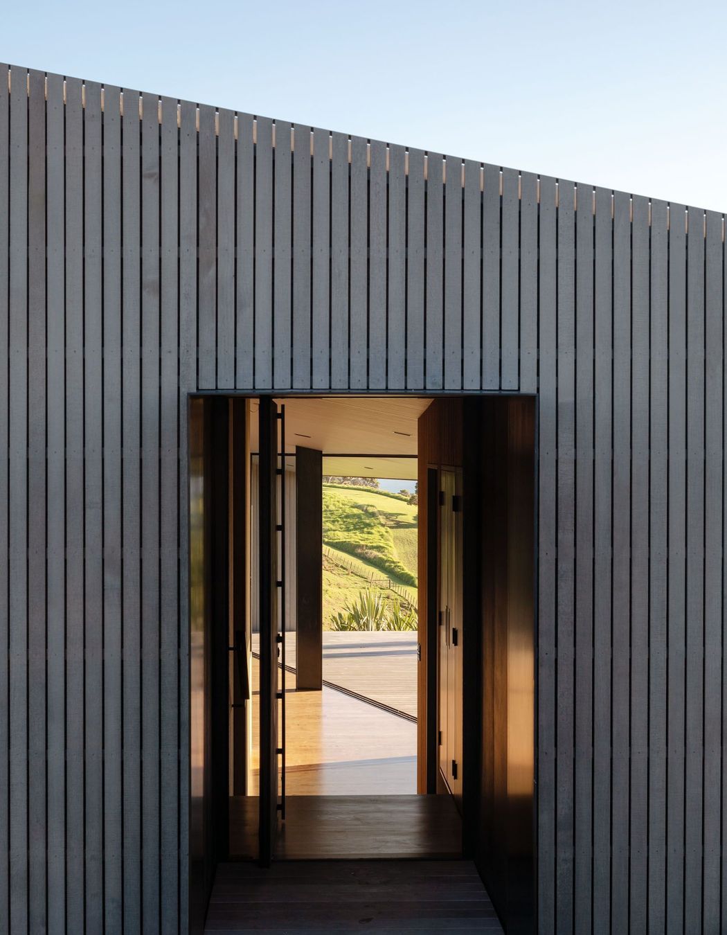 Project Timber: The Dart