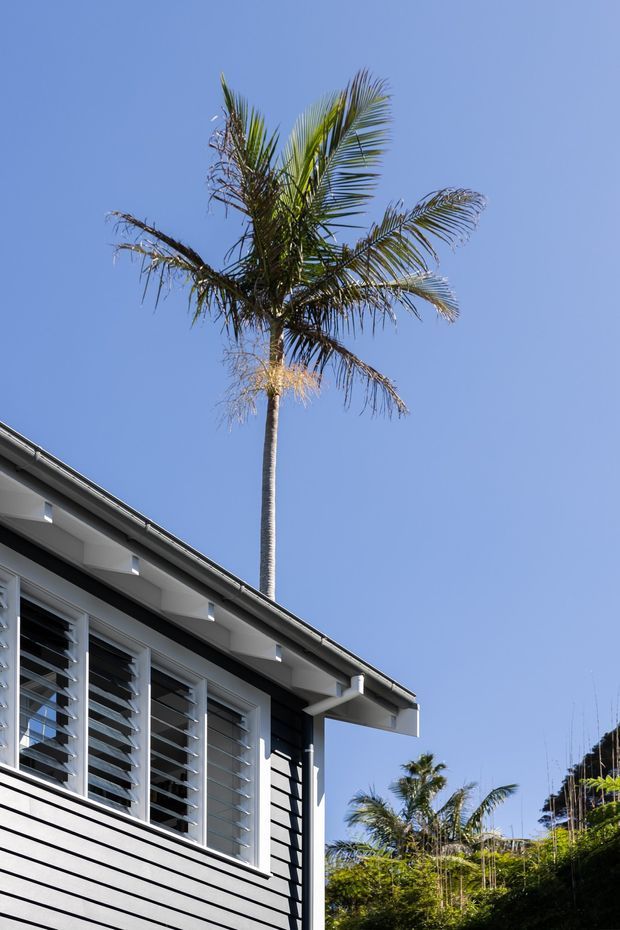 A close-up exterior view of a contemporary residential building beneath a clear blue sky. The facade features dark horizontal weatherboard cladding, white trim, a low-pitched roof with broad eaves, and large windows fitted with horizontal louvres. Tall palm trees and tropical landscaping surround the property.