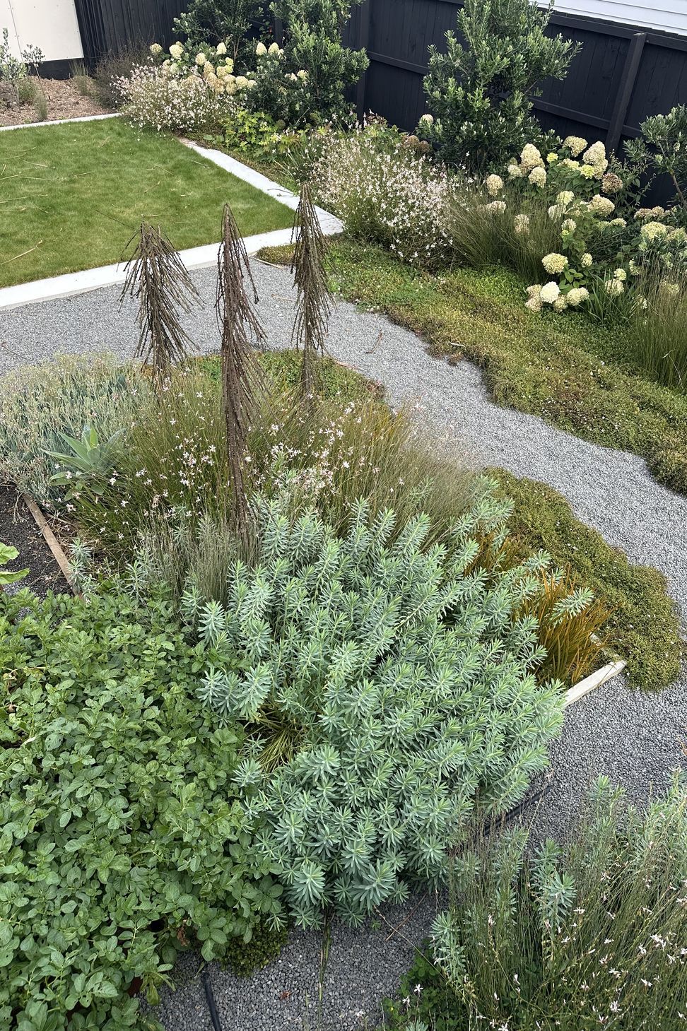 SouthshoreBotanic64.jpeg