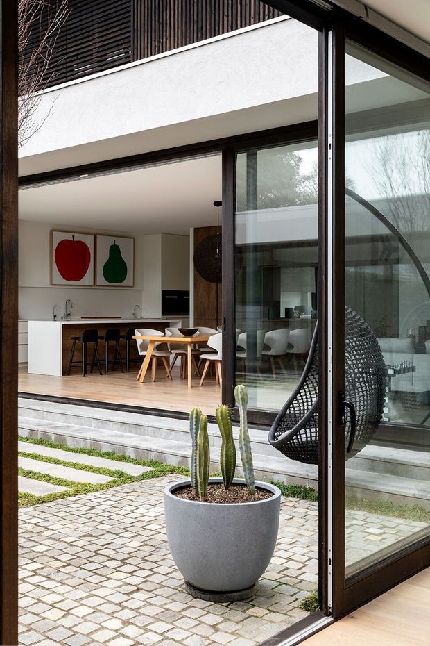 A contemporary indoor-outdoor living space viewed through an open glazed door. The image looks across a paved courtyard with a tall potted cactus toward a bright open-plan kitchen and dining area. The kitchen has white minimal cabinetry, a timber floor, a slim island or breakfast bench with black stools, and a light timber dining table with sculptural white chairs. Large dark-framed glazing, a hanging egg chair, concrete steps, and a partially visible upper-level timber slatted screen create a refined connection between the courtyard and interior.