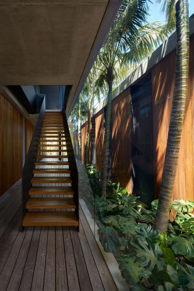 A narrow tropical residential passage with an open timber staircase rising along the left side. Dark timber decking, warm vertical timber wall cladding, black-framed glazing, and a raw concrete soffit frame a lush planted garden strip on the right, with palms and broad-leaf tropical foliage visible through the glazing. Strong natural sunlight creates a warm, secluded atmosphere.