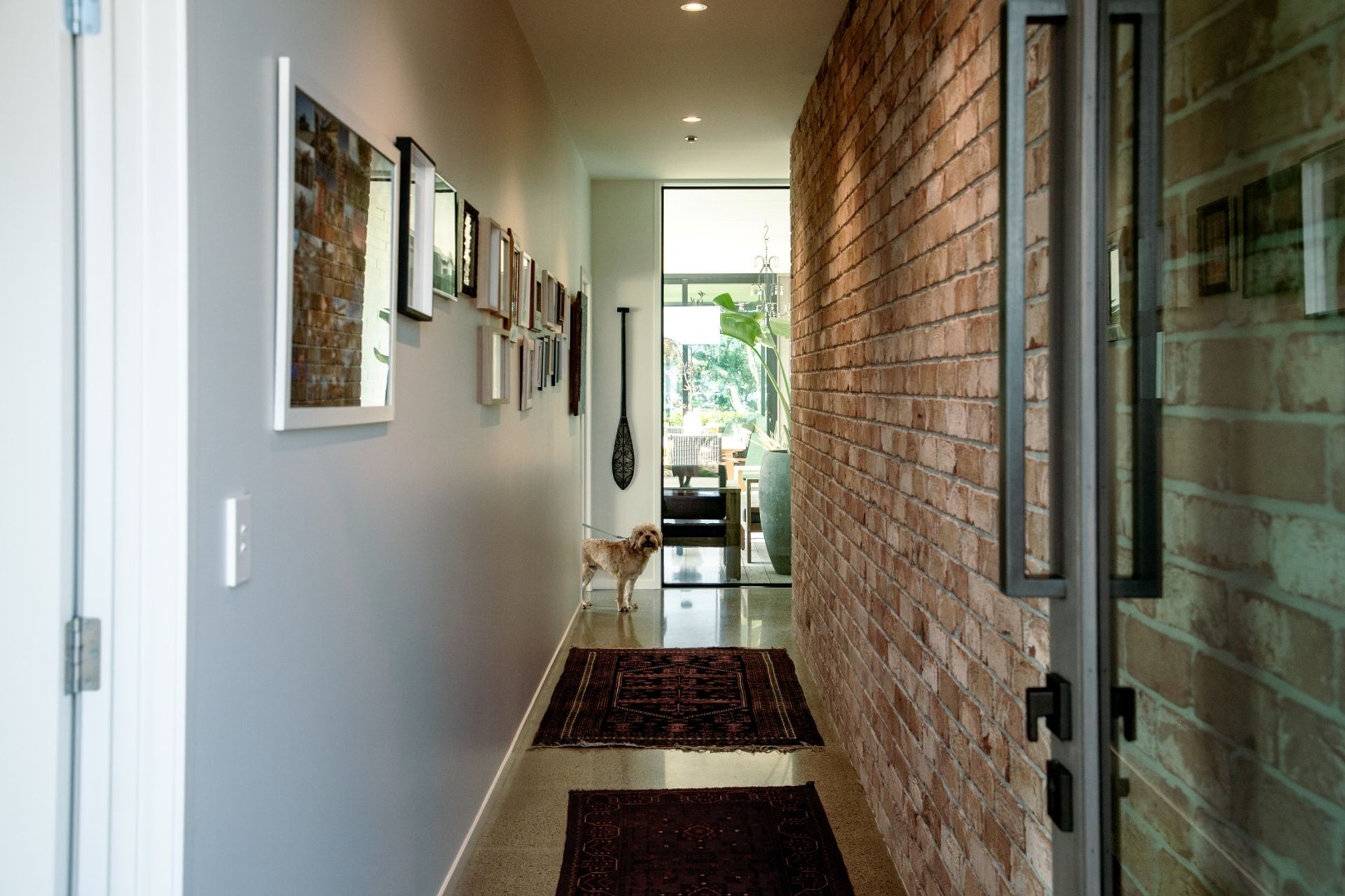 entry-hallway-repurposed-brick-feature-wall-dog-views-arcline-architecture.jpg
