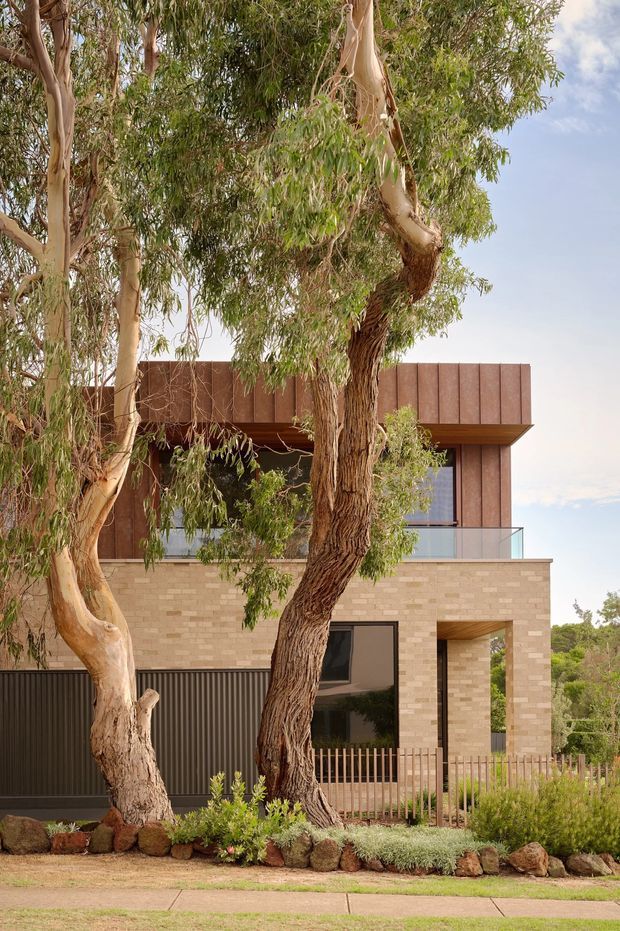 Exterior view of a contemporary multi-storey residence partially screened by mature eucalyptus trees. The house combines pale beige brickwork on the lower level with a projecting upper volume clad in vertically articulated warm brown panels. Large dark-framed windows, a glazed balcony balustrade, a recessed entry, and a dark ribbed garage door are visible, with landscaped planting and a footpath in the foreground.