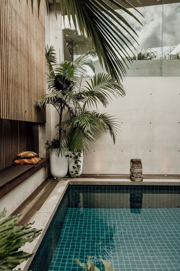 A tranquil indoor courtyard pool with a dark teal tiled basin, pale concrete walls, timber slatted wall cladding, built-in timber bench seating, large potted tropical palms, and a small sculptural ornament. Glazing and an upper-level opening bring in natural light, creating a refined tropical retreat atmosphere.