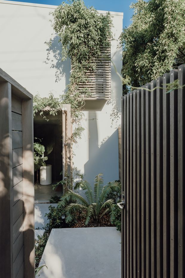 A narrow, landscaped residential entry courtyard viewed from outside or at the threshold. The scene features a tall dark vertical-slat gate and matching dark side door, pale rendered walls, a projecting upper-level window screened with horizontal timber or metal louvres, and dense tropical planting along a concrete path. Bright natural sunlight creates strong shadows and a private, contemporary street-front character.
