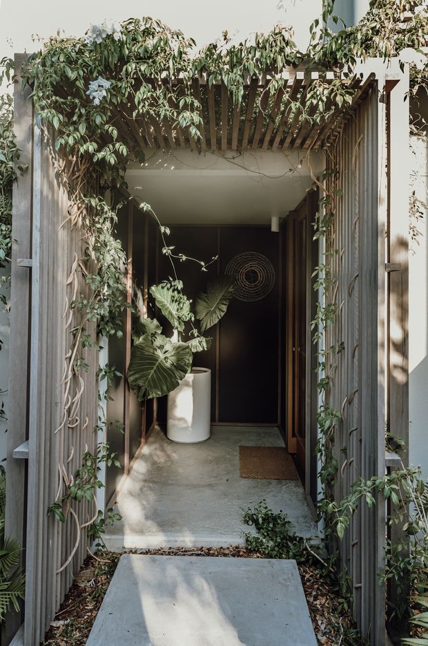 A narrow, plant-lined entrance walkway leading to a dark front door. Timber trellis screens and overhead pergola beams frame the passage, with climbing vines covering the structure. The path and entry landing are concrete, and a large potted tropical plant sits beside the doorway. The image has a natural, secluded and softly lit character.